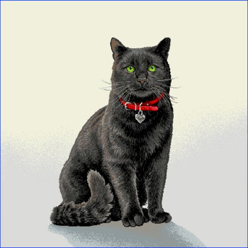 Gobelínové vankúše celoročné Eden 250