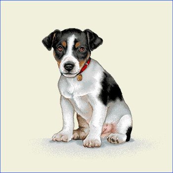 Gobelínové vankúše celoročné Eden 290