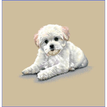 Gobelínové vankúše celoročné Eden 529