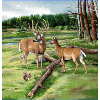 Gobelínové vankúše celoročné Eden 6027