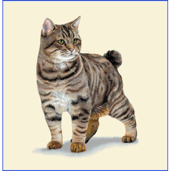 Gobelínové vankúše celoročné Eden 797